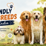 Most-Friendly-Dog-Breeds-in-India